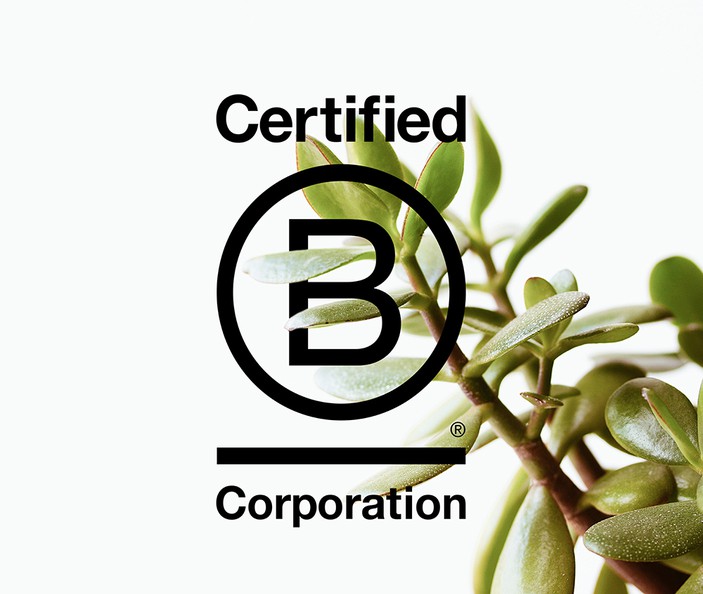 On becoming a B Corp