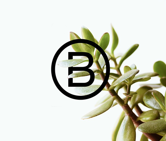 On becoming a B Corp 